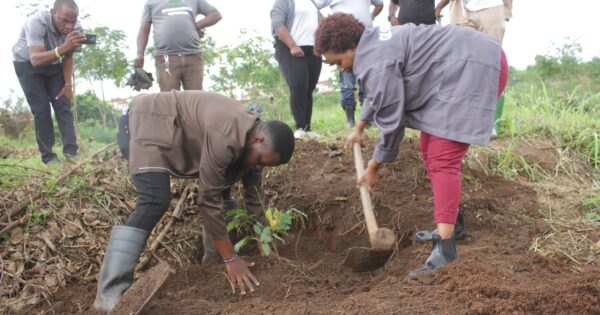 274583816_431452418775052_2924038884781684670_n